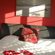 Luxury, Holiday Cottages, Accommodation, Aberdovey, Mid Wales 