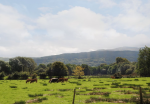 View_from_the_Old_Gatehouse.PNG